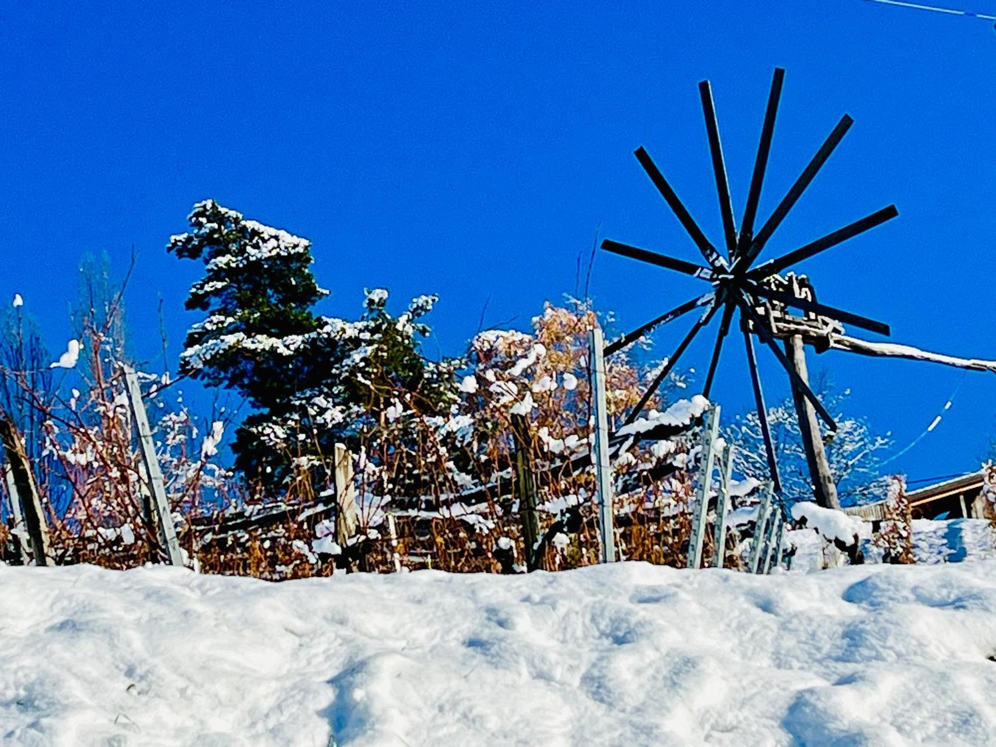 Ferienhaus Sausalblick Großklein Bagian luar foto